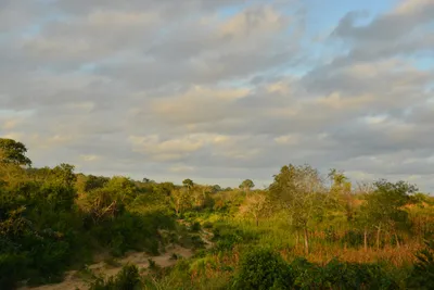 DSC_4334 (Large).JPG